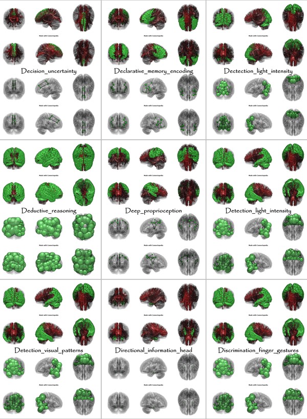 Brain Functions from Decision_uncertainty to Discrimination_finger_gestures