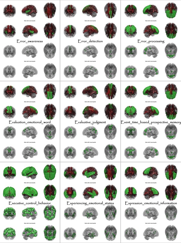 Brain Functions from Error_awareness to Expression_emotional_information