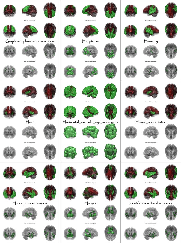 Brain Functions from Grapheme_phoneme_conversion to Identification_familiar_voices
