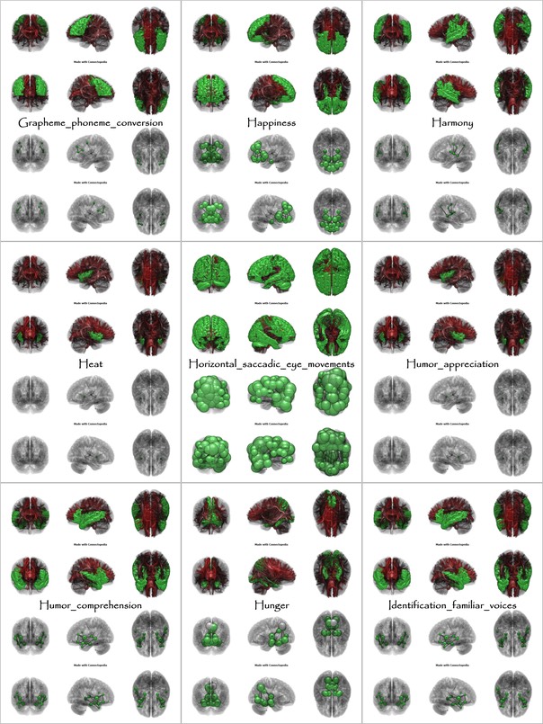 Brain Functions from Grapheme_phoneme_conversion to Identification_familiar_voices