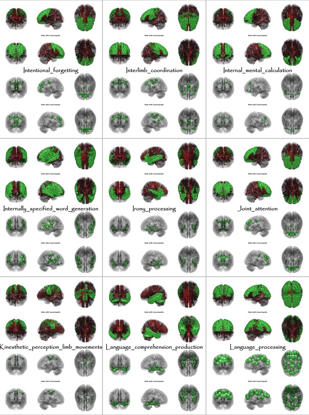 Brain Functions from Intentional_forgetting to Language_processing