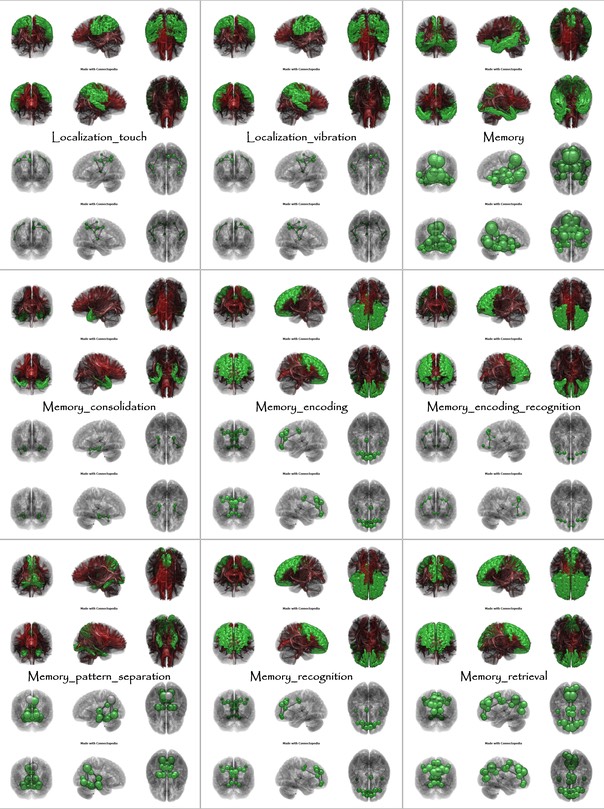 Brain Functions from Localization_touch to Memory_retrieval