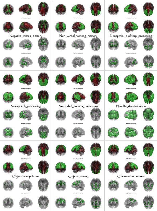 Brain Functions from Negative_stimuli_memory to Observation_actions