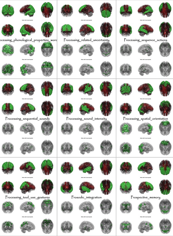 Brain Functions from Processing_phonological_properties_words to Prospective_memory