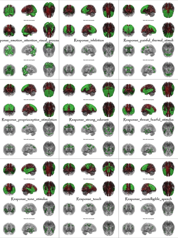 Brain Functions from Response_emotion_attention_visual_processing to Response_unintelligible_speech