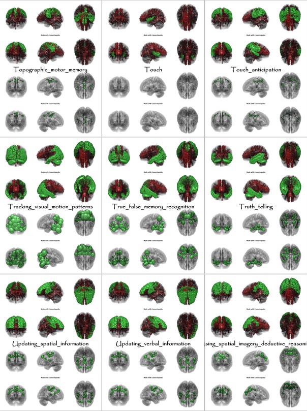 Brain Functions from Topographic_motor_memory to Using_spatial_imagery_deductive_reasoning