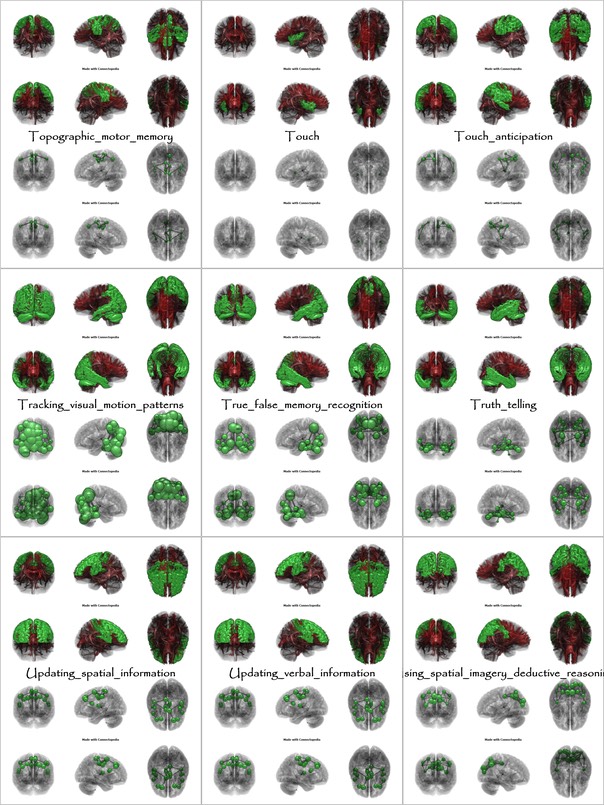 Brain Functions from Topographic_motor_memory to Using_spatial_imagery_deductive_reasoning