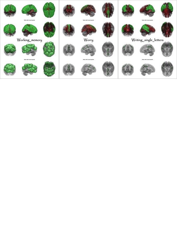 Brain Functions from Working_memory to Writing single letters