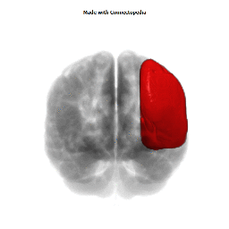 Superficial Middle Cerebral Vein Territory