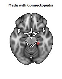 Cingulum_(hippocampus)_R124