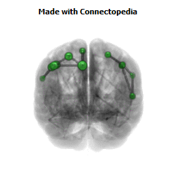 Somatosensory mirror neuron system Connectom