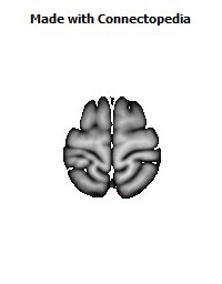 Sagittal_stratum_R040