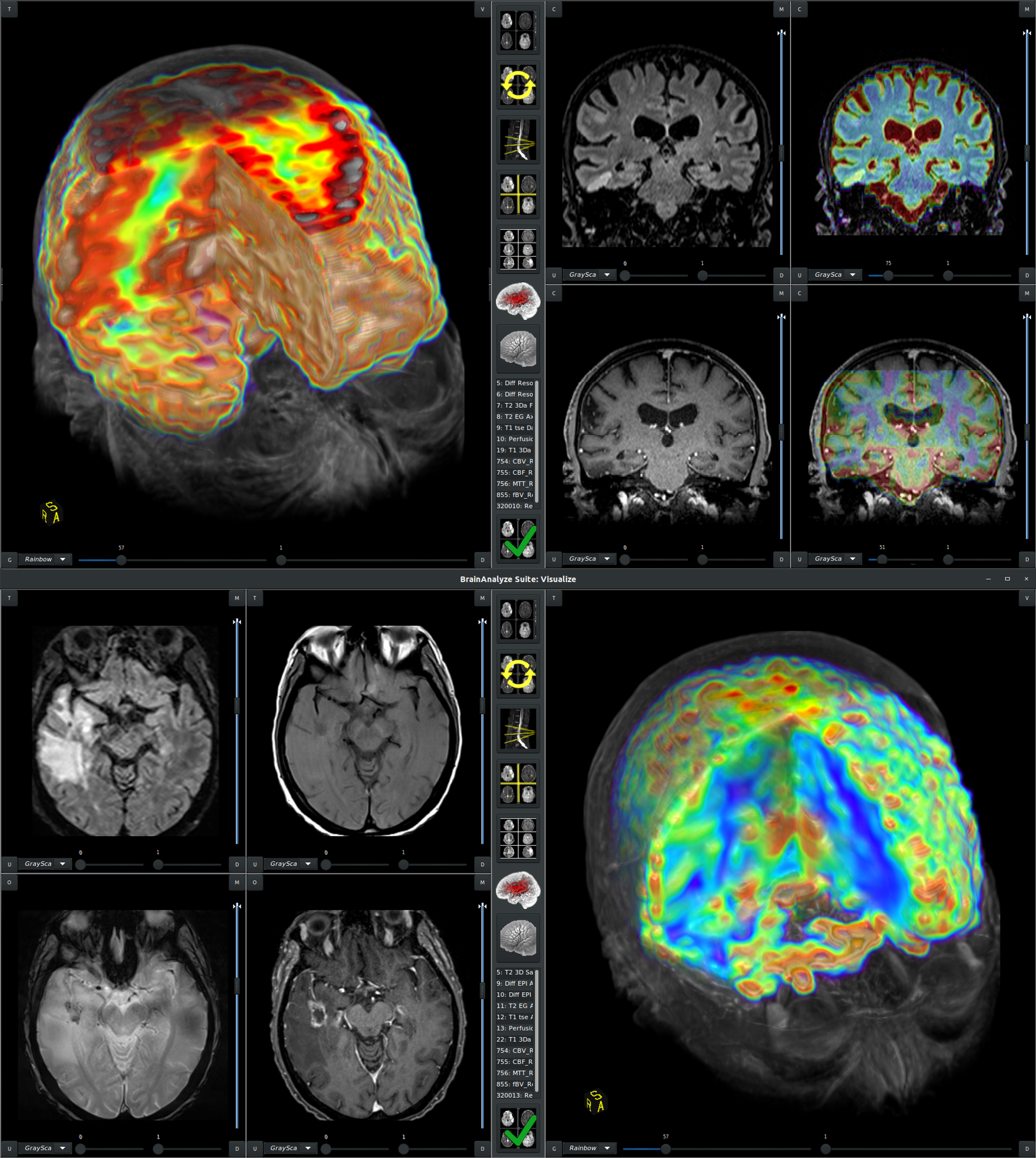 Manager & Visualize Tumor Mapping